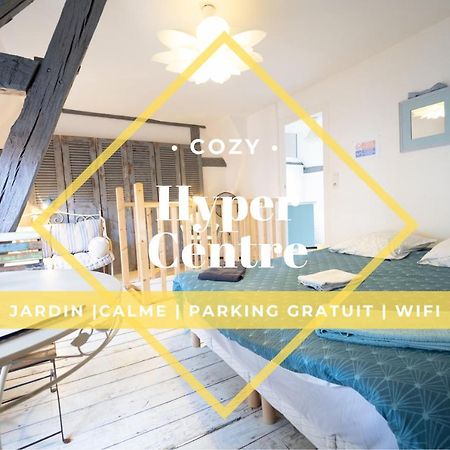 Apartmán Les Cieux De La Cathedrale - Calme - Jardin - Wifi Troyes Exteriér fotografie