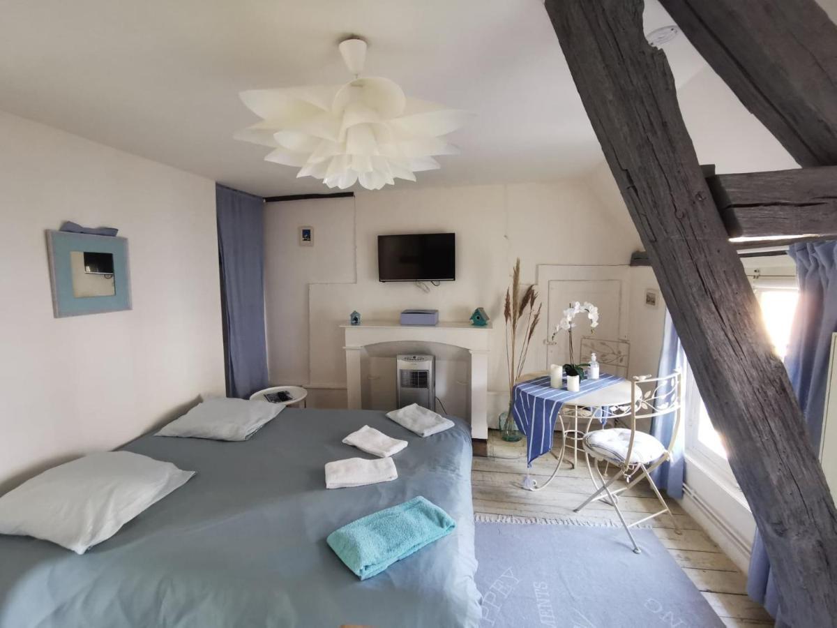 Apartmán Les Cieux De La Cathedrale - Calme - Jardin - Wifi Troyes Exteriér fotografie