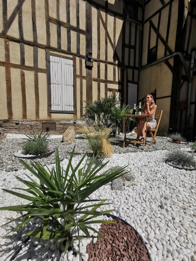 Apartmán Les Cieux De La Cathedrale - Calme - Jardin - Wifi Troyes Exteriér fotografie